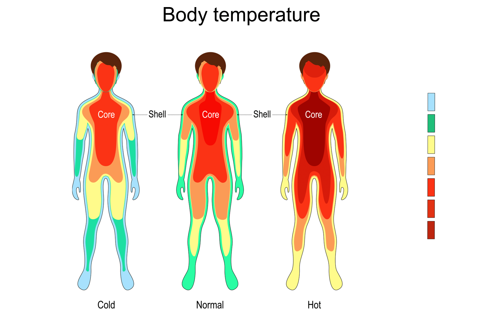 Hero Thermography Temperatures Hero Thermography Temperatures