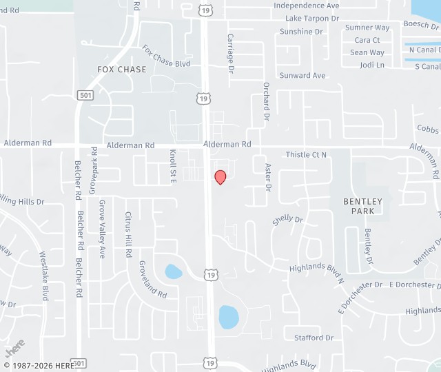 Location Map: 35111 US Highway 19 North, Suite 200 Palm Harbor, Florida 34684