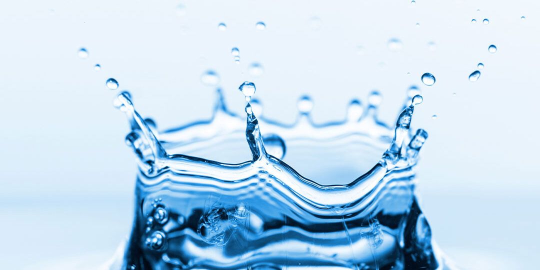Square Hydration